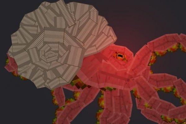 Kraken dark net
