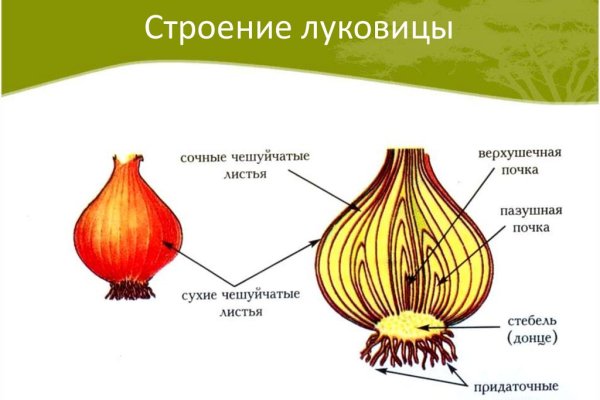 Кракен даркнет kraken014 com